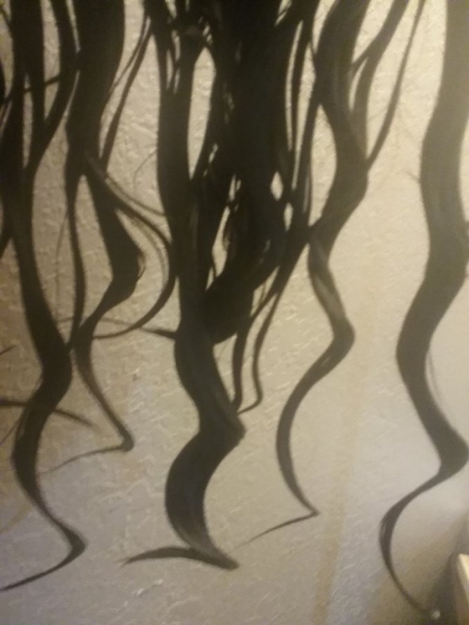 hair wavy when wet straight when dry