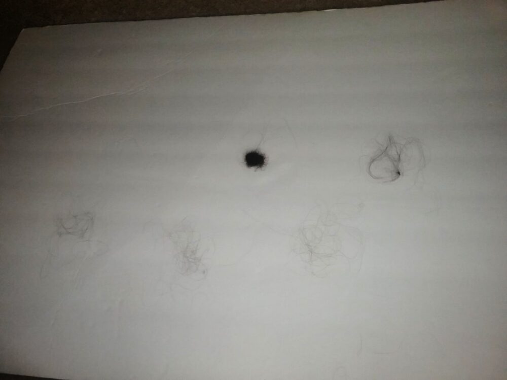 100 hairs look like