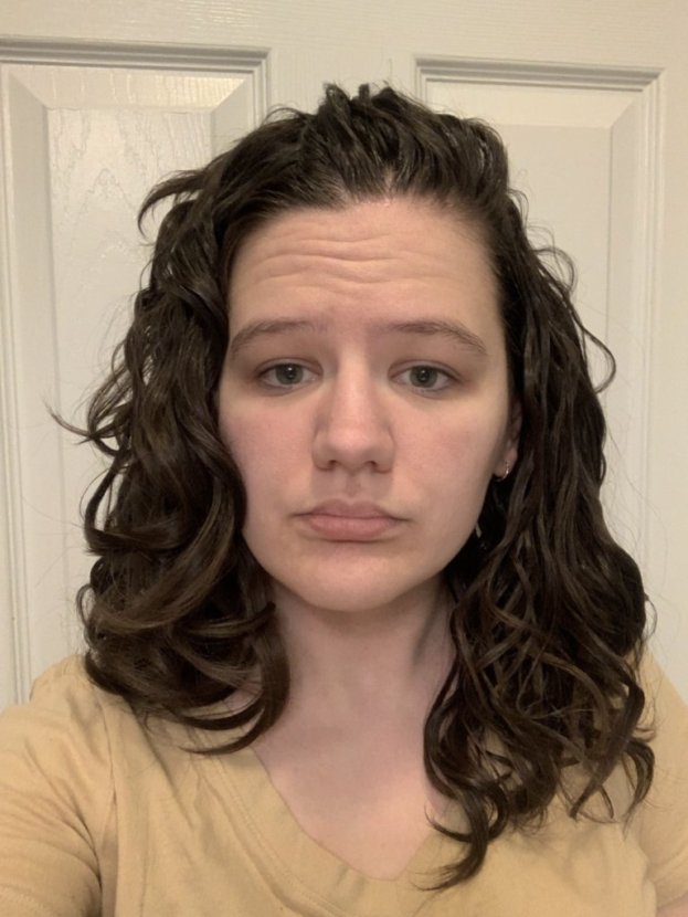 Dyson diffuser results